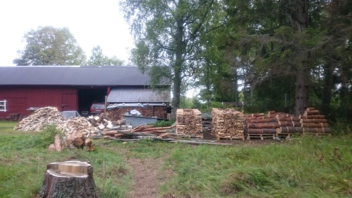 Trädgård med vedhögar framför en röd lada, stubbe i förgrunden och omgivande grönska.