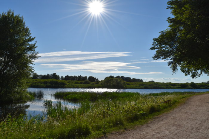 Solig naturscen med en bländande sol, vägkant, träd, sjö och grönt gräs.