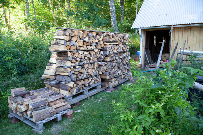 Stackad ved och trädgård med öppen vedbod och skadad grundmur i bakgrunden.