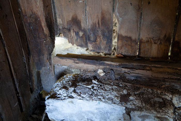 Skadad vedbodsgrund med rötskadad syll och mur med hål, omgivet av spillror och löv.