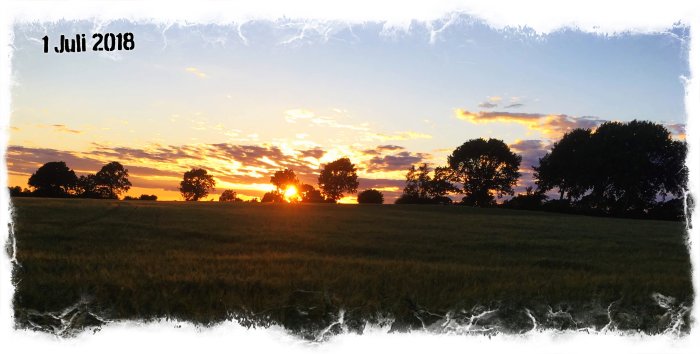 Solnedgång över ett fält med silhuetter av träd och texten "1 Juli 2018" i övre vänstra hörnet.