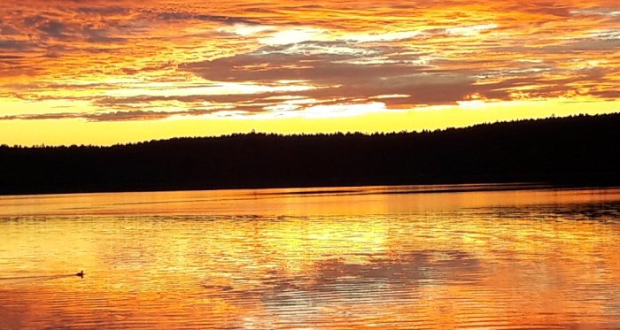En glödande solnedgång med dramatiska orangeröda moln reflekterade i en lugn sjö.