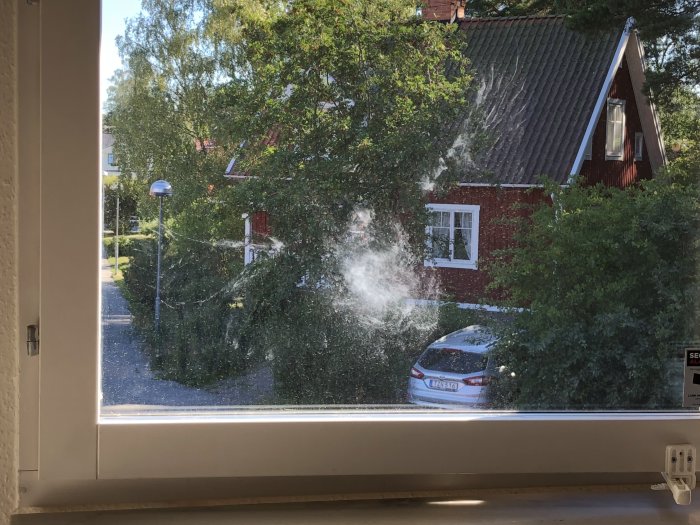 Fönster med fläckar och avtryck efter en fågel, utsikt mot hus och bil.