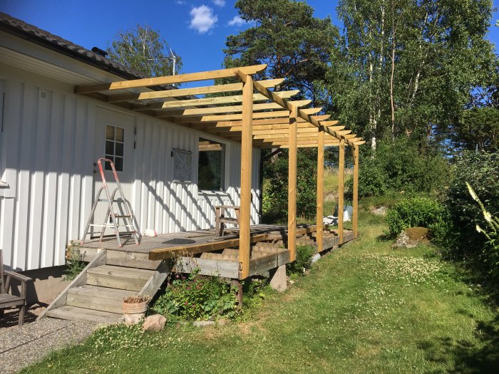 Nybyggd trädgårdspergola i trä ansluten till ett hus, med en stege, under en solig dag.