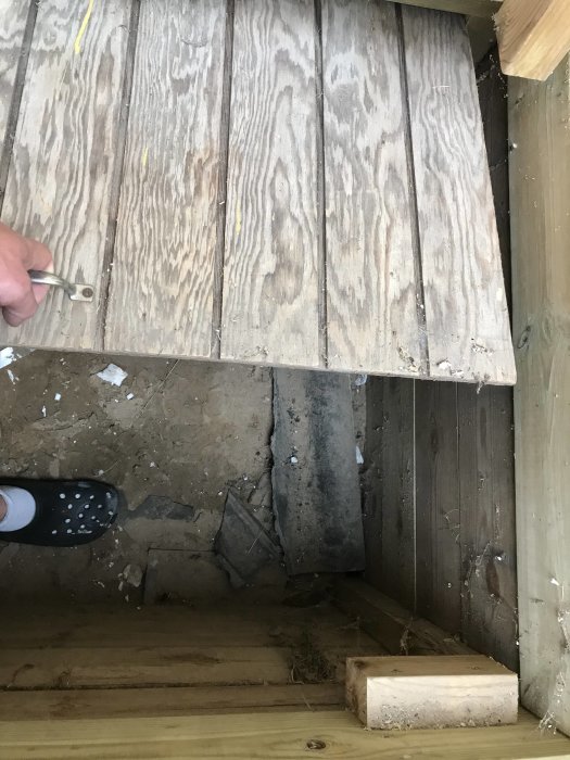 Trägolv med en uppfälld lucka avslöjar ingången till en trång krypgrund i en friggebod.