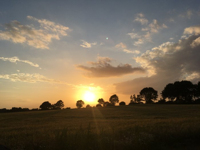 Solnedgång över ett fält med silhuetter av träd och dramatiska moln i himlen.