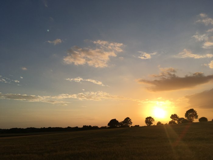 Solnedgång över ett fält med silhuetter av träd och en dramatisk himmel.