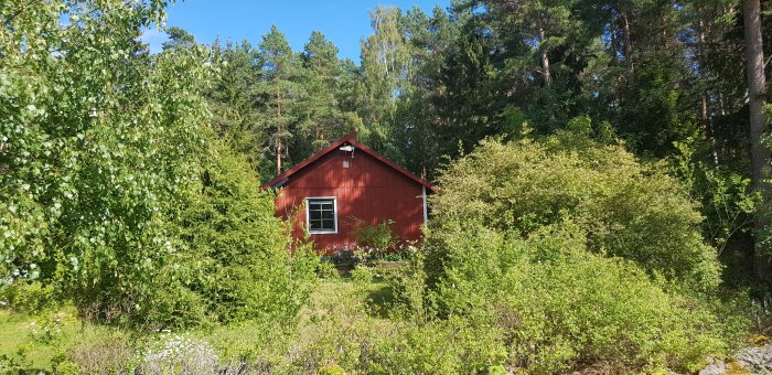 Charmigt rött trähus med ny monterade vindskivor dolt bakom grönskande träd och buskar i lummig miljö.