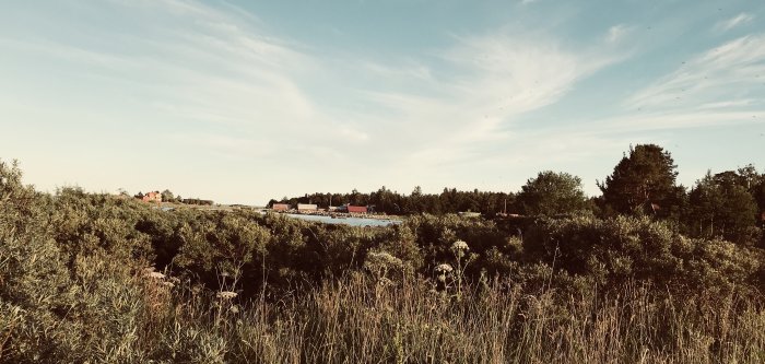 Vy över landskap med gräs, buskar och träd framför ett distanserat bostadsområde under en klar himmel.