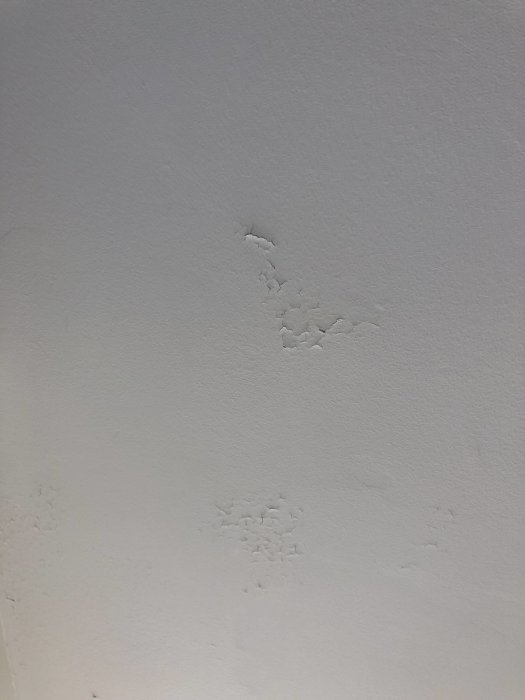Vitt tak med flagande färg, möjlig fuktskada.