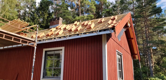 Röd stuga under renovering med nyinstallerade takkrokar på sidan, stegar, och skog i bakgrunden.