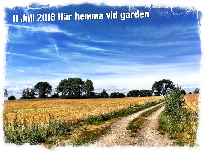 Lantlig väg omgiven av gyllene sädesfält med texten "11 Juli 2018 Här hemma vid gården" mot blå himmel.