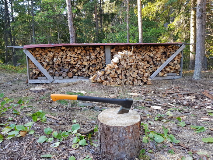 Vedklyv fastnade i stock medan vedskjul fyllts med staplad ved i bakgrunden, i en skogsglänta.