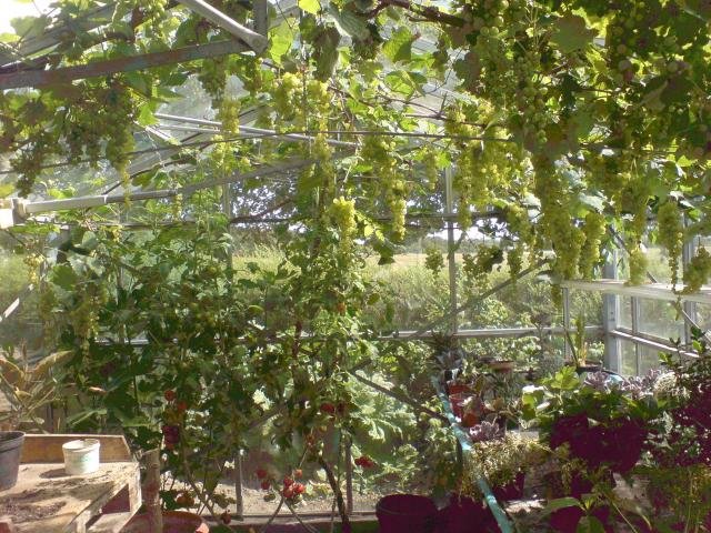 DSC00013.jpg