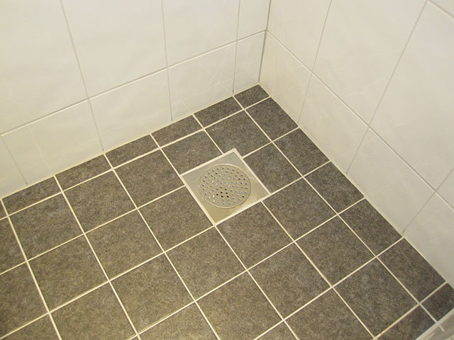 bild 1.jpg