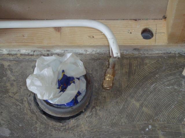 DSC01382.jpg