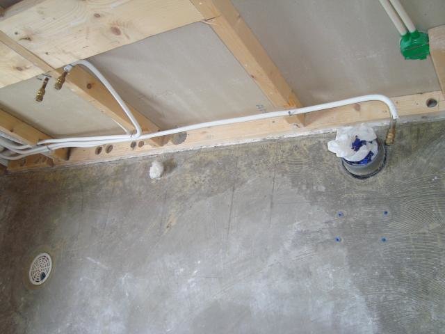 DSC01383.jpg