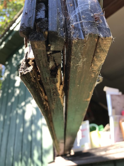 Nederdel av ett gammalt träfönster med rutten kant och flagnande färg, omgiven av spindelväv.