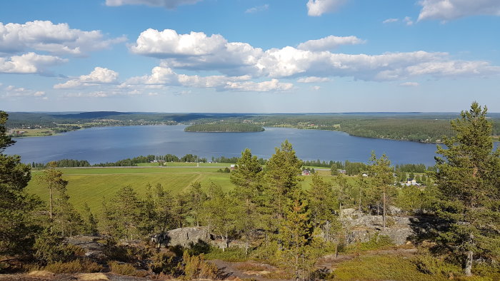 Vy över Tavelsjöbygden från Vallberget med sjö, ängar och skog.