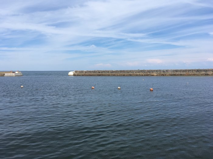Vy över Kivik hamn med bryggor och bojar på en solig dag.