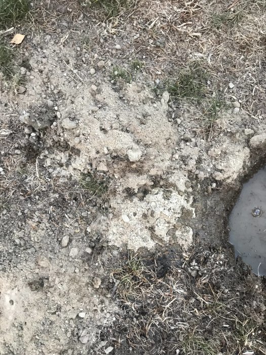 Testhål grävt i gräsmattan med sand- och lerjord, delvis fyllt med vatten för att utvärdera dräneringseffektiviteten.