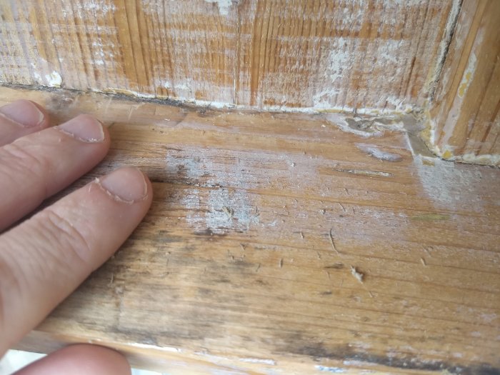 Hand pekar på nymålat träverk där grundoljan smulat och inte fäst ordentligt, möjligt damm syns.