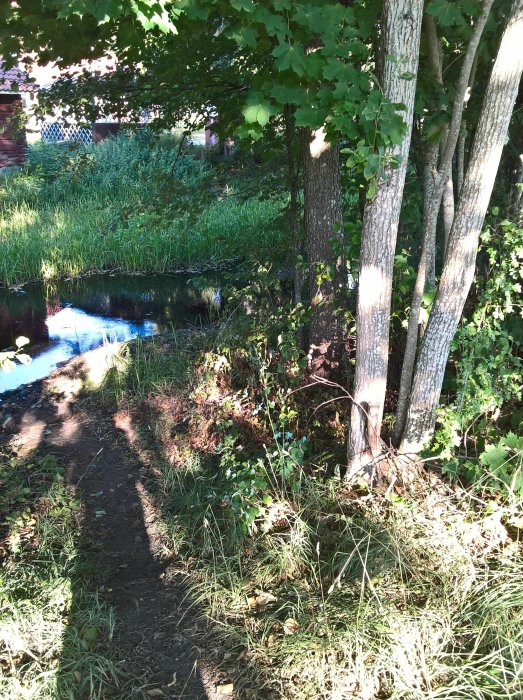 Landskapsbild som visar en bäck med låg vattenstånd omgiven av grönska och träd i en trädgårdsmiljö.