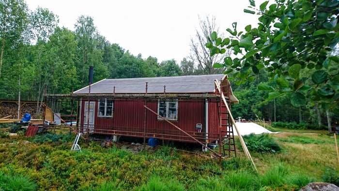 Röd stuga under renovering med råspont och underlagspapp på taket och ställningar runtom.