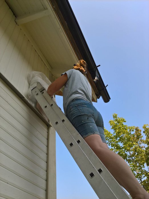 Person som målar ett hus från en stege under en solig dag.