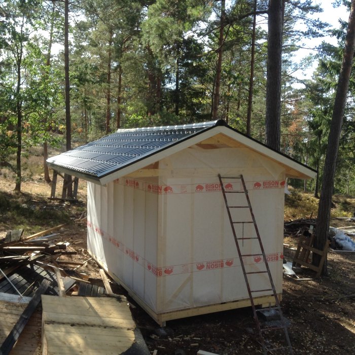 Nybyggt skjul med tak och vindskydd, stege lutad mot väggen i skogsområde.