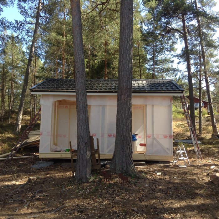 Pågående bygge av litet hus med nytt tak och oisolerade väggar i en skog nära havet, stege syns till höger.