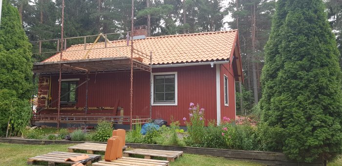 Rött hus med nya hängrännor, byggställning och trädgård, under renoveringsarbete.