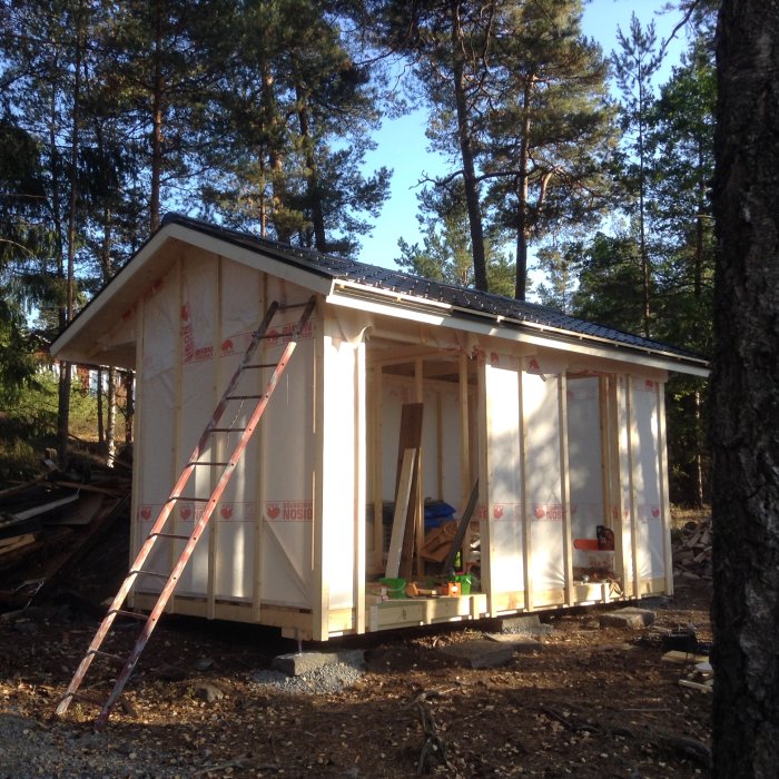 Halvfärdigt trähustält i skogen med isoleringsmaterial synligt och stege lutad mot sidan.