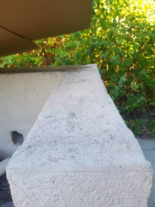 Ojämn topp på en rödgrundslammad lecamur utomhus, omgiven av växtlighet.