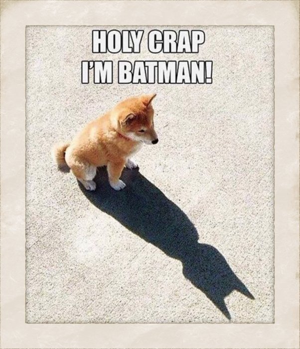 En hund står på en trottoar med en skugga som ser ut som Batman, texten "HOLY CRAP I'M BATMAN" ovanför.