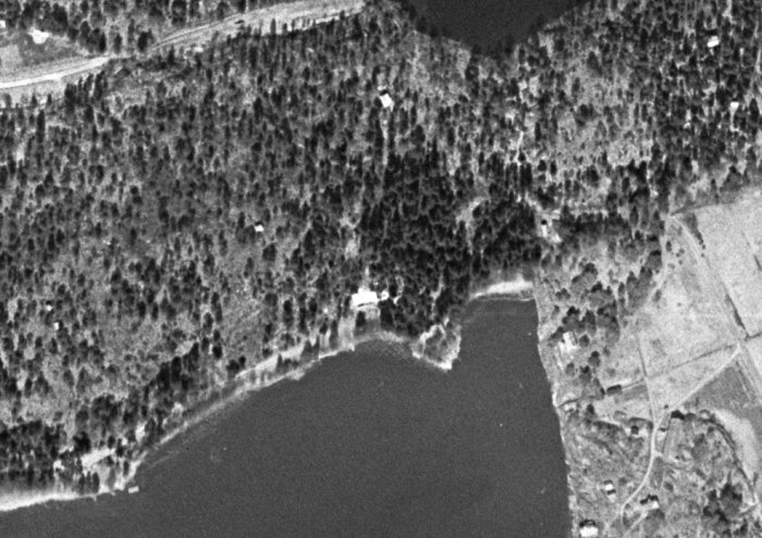Svartvit flygbild från 1958 som visar en strandlinje med skog och enstaka byggnader.