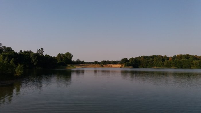 En bild av en lugn sjö omgiven av träd med en klar blå himmel ovanför.