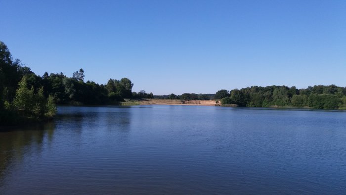 Insjö med klart vatten och träd runt kanten mot en molnfri blå himmel under morgonsimturen.