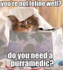 Kattunge tittar fram ur en vävnadslåda med texten "you're not feline well? do you need a purramedic?