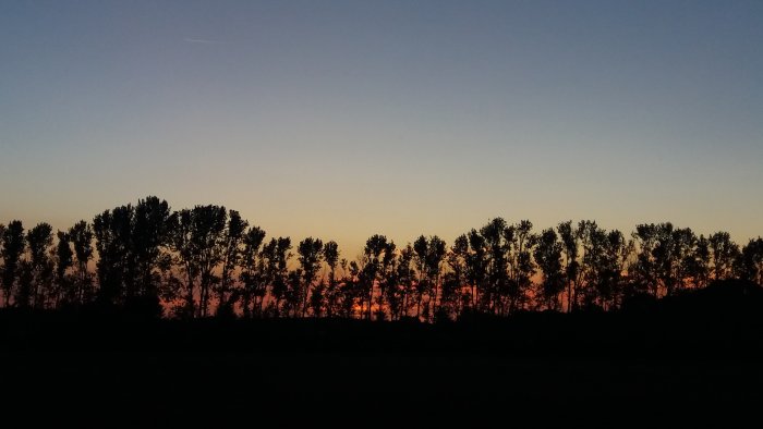 Solnedgång med trädtoppar mot en klar himmel i nyanser av blått och orange i Skåne.