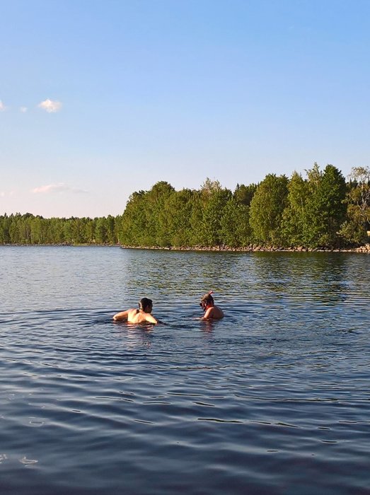 Två personer som badar i en sjö med träd i bakgrunden under en klarblå himmel.