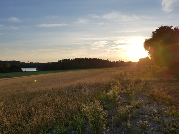 Solnedgång över ett landskap med fält och skog med en sjö i bakgrunden.