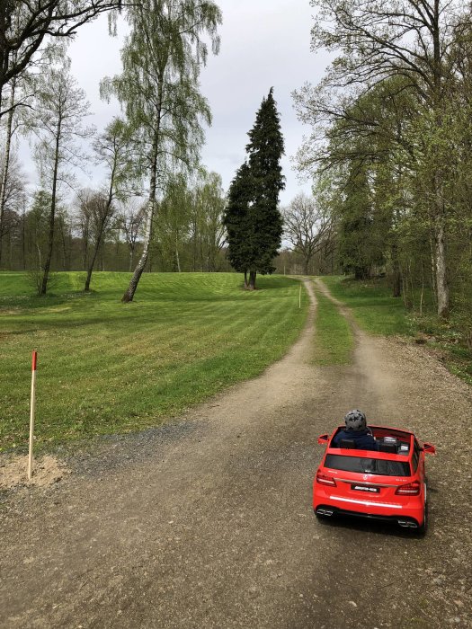 Grusväg som svänger vänster vid cypress, grönt fält framför och röd leksaksbil nederst i bilden.