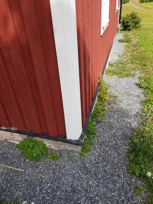 20180726_115514.jpg