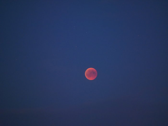 Röd måne mot en mörkblå natthimmel, fotograferad från takterrass runt 22:30.