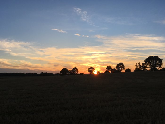 Solnedgång över ett öppet fält med träd siluetter mot en mångfärgad himmel, datum markerat 29 juli 2018.