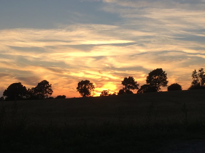 Stämningsfull solnedgång över ett öppet fält med silhuetter av träd mot en molnstrimmig himmel. Datum: 29 juli 2018.