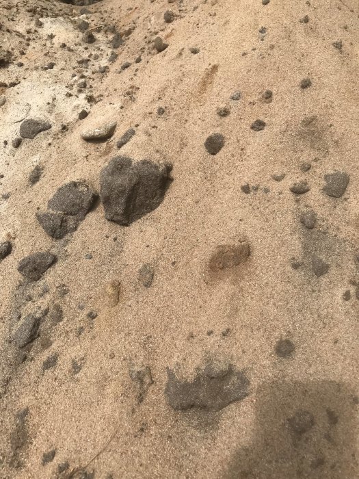 Närbild på marken med sand och utspridda småstenar, potentiellt material för anläggning.