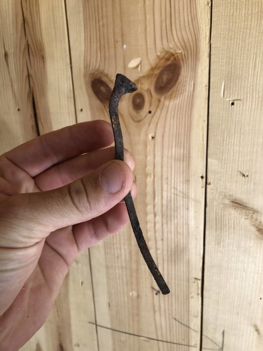 Hand håller en gammal rostig spik framför en trävägg.
