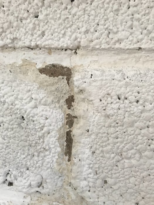 Vitmålad lecavägg med gulnade fläckar och fuktindikationer i en gillestuga.